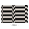 Black & White Plaid Plush Rug